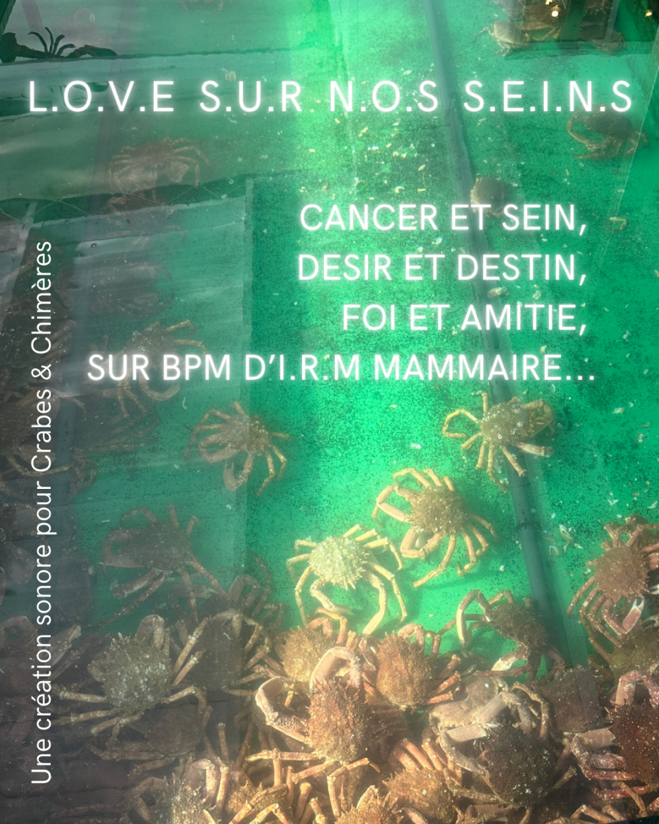 L.O.V.E. S.U.R. N.O.S. S.E.I.N.S